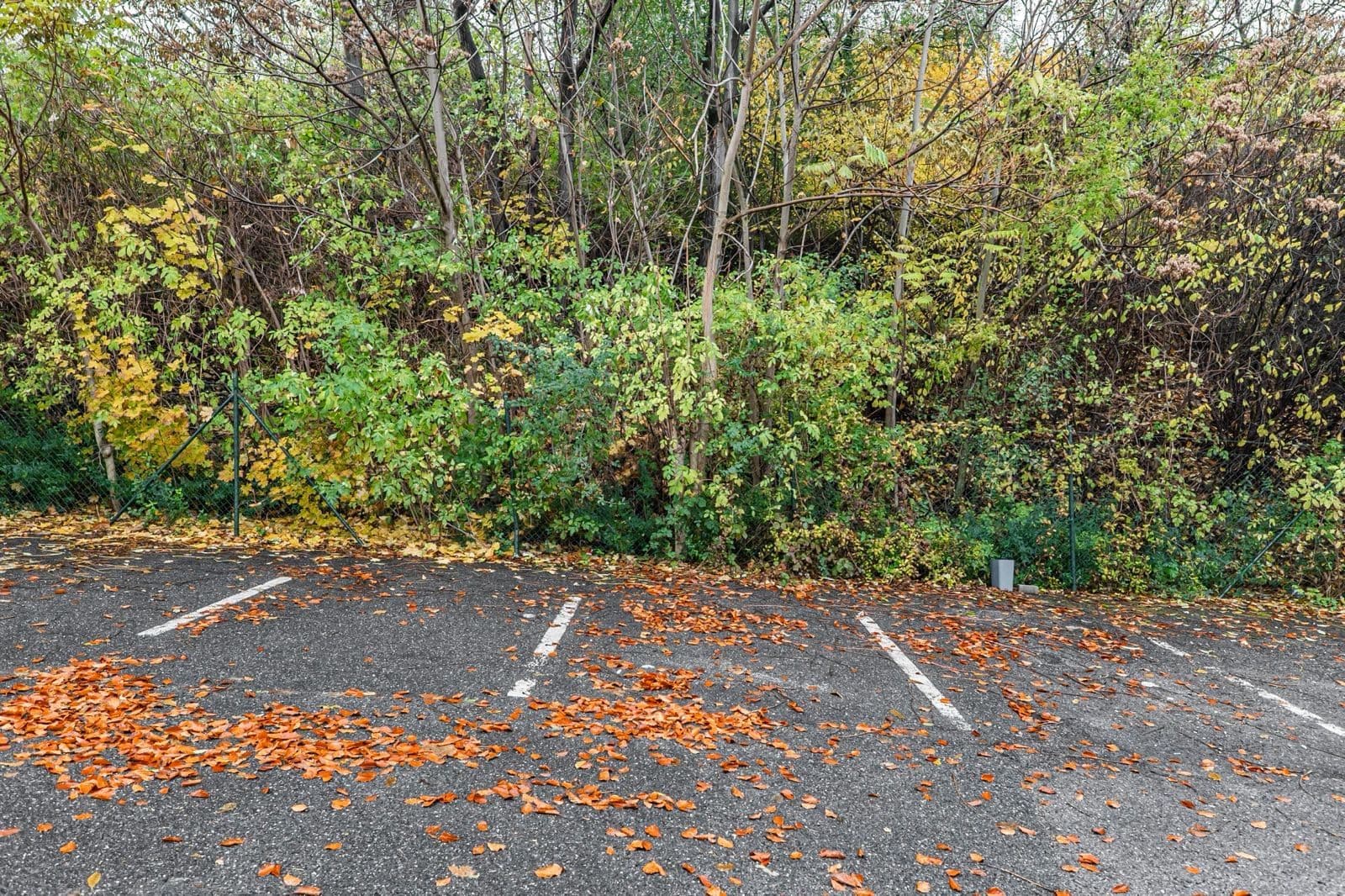 Prenájom kancelárie 60 m², Kotlaska, Praha, Praha Prenájom kancelárie 60 m², Kotlaska, Praha, Praha