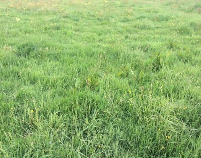 Predaj pozemku 7.600 m², Leipzig, Sasko Predaj pozemku 7.600 m², Leipzig, Sasko