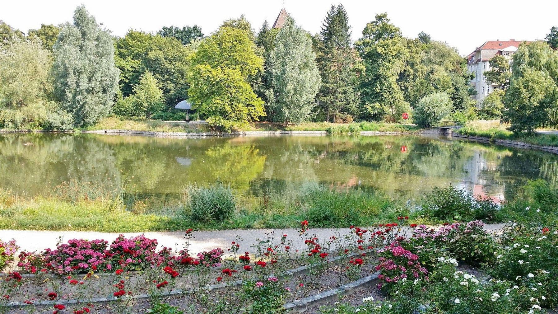 Predaj bytu 1-izbový 36 m², Manteuffelstraße 66, Berlin, Berlín Predaj bytu 1-izbový 36 m², Manteuffelstraße 66, Berlin, Berlín