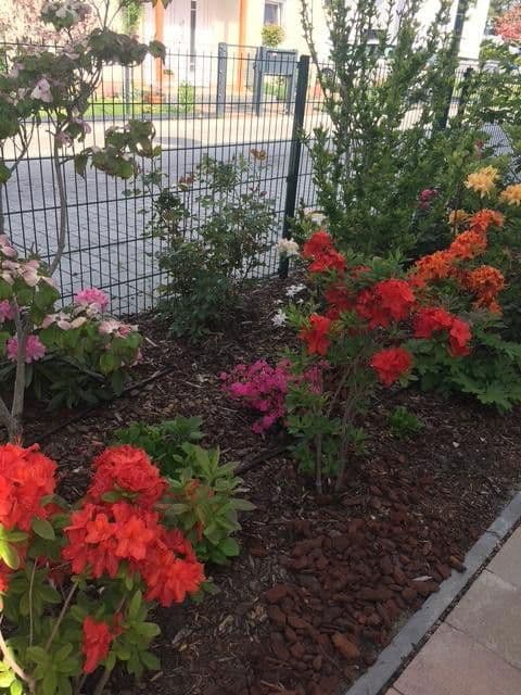 Predaj domu 265 m², pozemek 996 m², Potsdam Groß Glienicke zu Berlin, Brandenbursko Predaj domu 265 m², pozemek 996 m², Potsdam Groß Glienicke zu Berlin, Brandenbursko