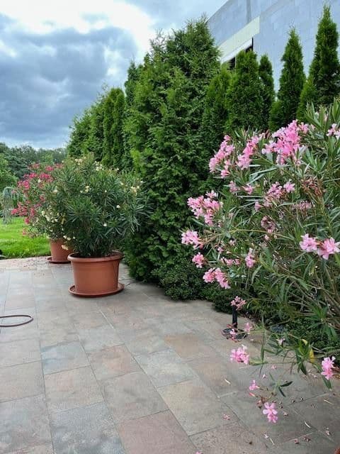 Predaj domu 265 m², pozemek 996 m², Potsdam Groß Glienicke zu Berlin, Brandenbursko Predaj domu 265 m², pozemek 996 m², Potsdam Groß Glienicke zu Berlin, Brandenbursko