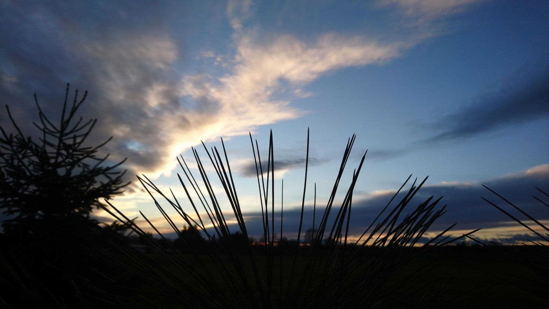 Predaj domu 167 m², pozemek 6.777 m², Gablenz - Jabłońc, Sasko Predaj domu 167 m², pozemek 6.777 m², Gablenz - Jabłońc, Sasko