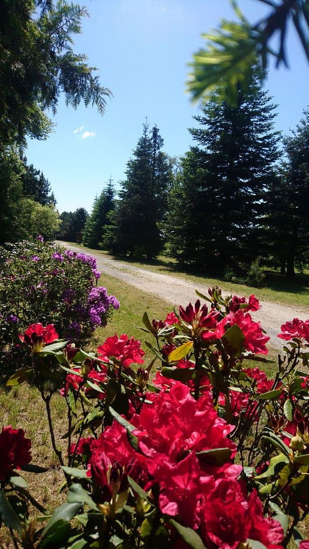 Predaj domu 167 m², pozemek 6.777 m², Gablenz - Jabłońc, Sasko Predaj domu 167 m², pozemek 6.777 m², Gablenz - Jabłońc, Sasko