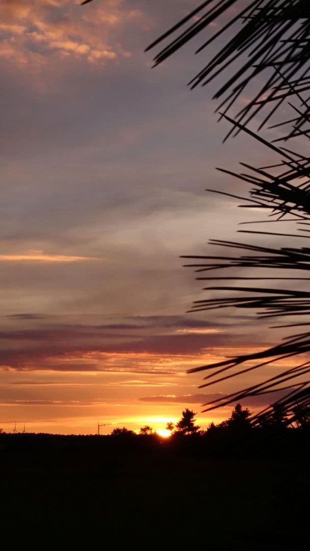 Predaj domu 167 m², pozemek 6.777 m², Gablenz - Jabłońc, Sasko Predaj domu 167 m², pozemek 6.777 m², Gablenz - Jabłońc, Sasko