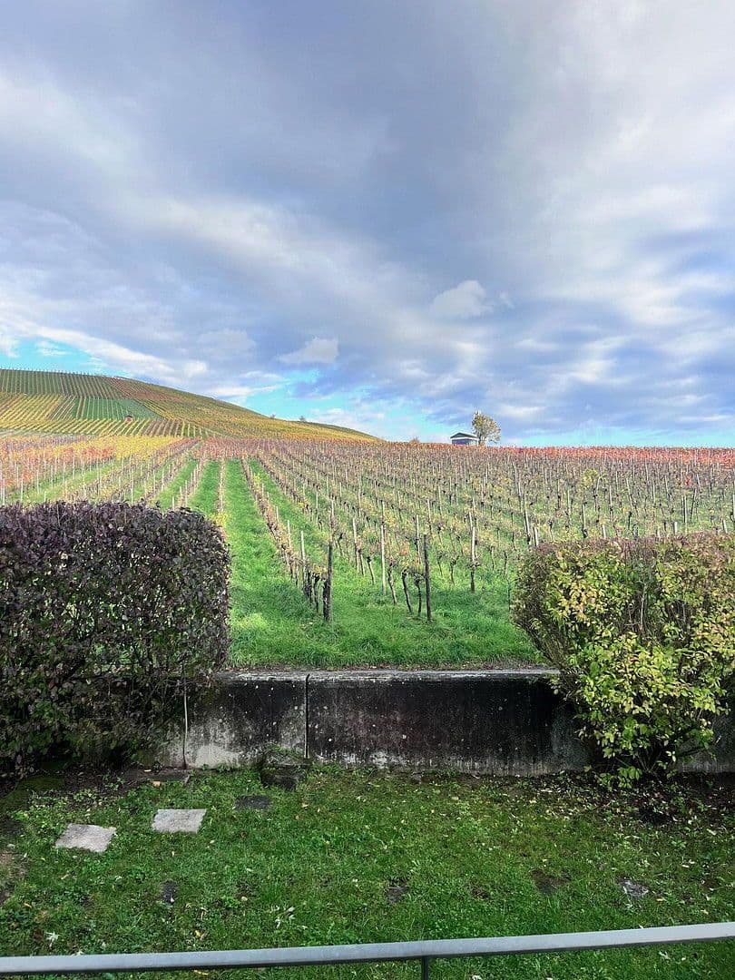 Prenájom bytu 5-izbový 136 m², Weinstadt, Bádensko-Wurttembersko Prenájom bytu 5-izbový 136 m², Weinstadt, Bádensko-Wurttembersko