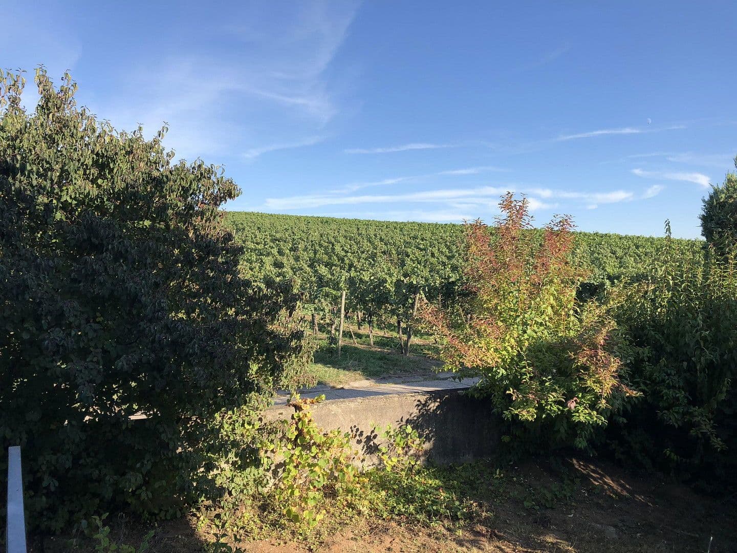 Prenájom bytu 5-izbový 136 m², Weinstadt, Bádensko-Wurttembersko Prenájom bytu 5-izbový 136 m², Weinstadt, Bádensko-Wurttembersko