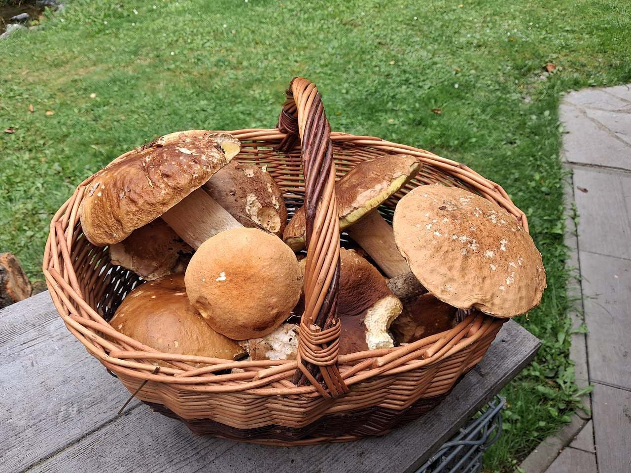 Prenájom rekreačného objektu, Holčovice, Moravskoslezský kraj Prenájom rekreačného objektu, Holčovice, Moravskoslezský kraj