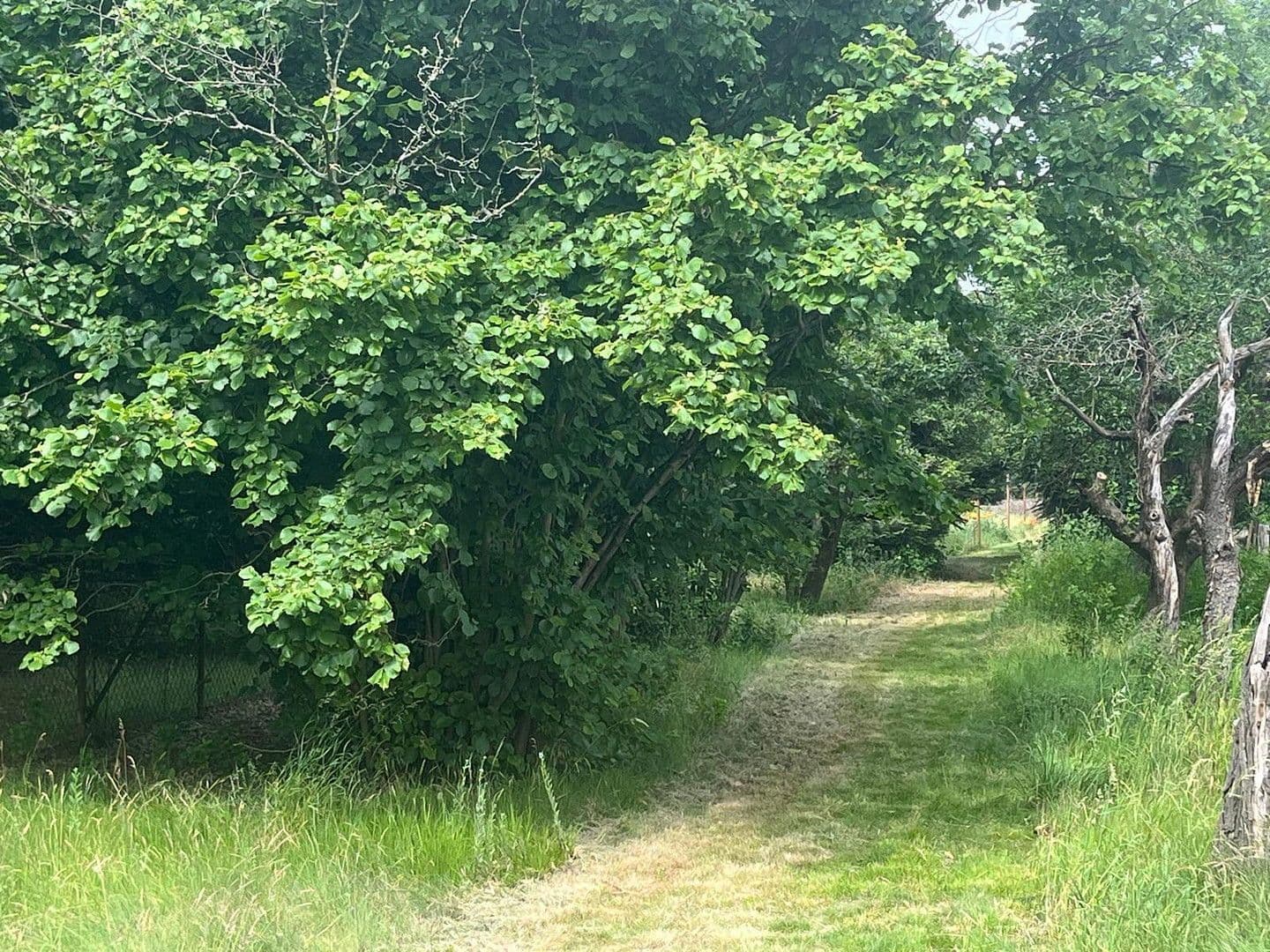 Predaj pozemku 2.342 m², Spreenhagen, Brandenbursko Predaj pozemku 2.342 m², Spreenhagen, Brandenbursko