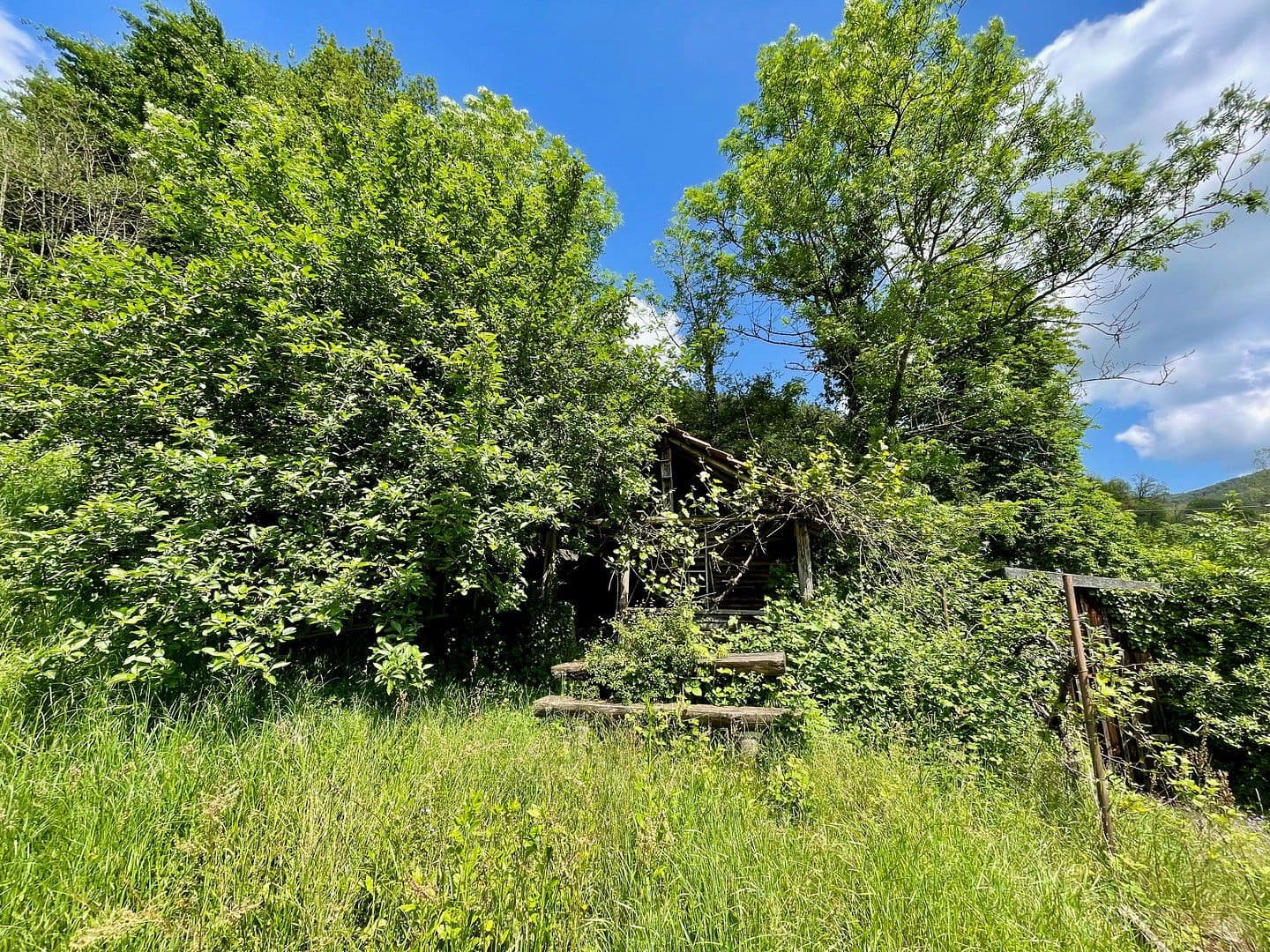 Predaj domu 346 m², pozemek 2.815 m², Hausbergstrasse 8, Frankeneck, Porýnie-Falcko Predaj domu 346 m², pozemek 2.815 m², Hausbergstrasse 8, Frankeneck, Porýnie-Falcko