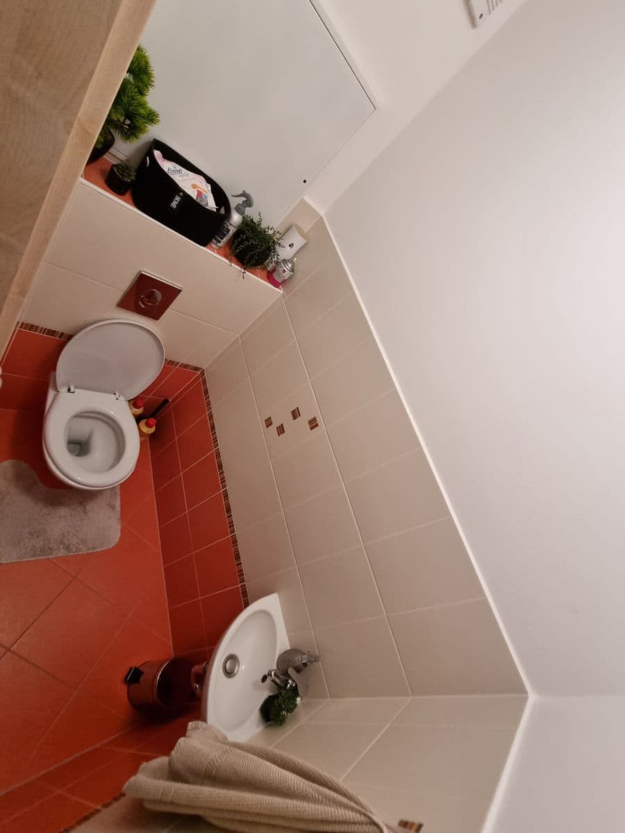 Prenájom bytu 2-izbový 52 m², Říčanská, Brno, Jihomoravský kraj Prenájom bytu 2-izbový 52 m², Říčanská, Brno, Jihomoravský kraj