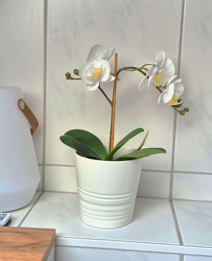 Prenájom bytu 3-izbový 85 m², Rödermark, Hesensko Prenájom bytu 3-izbový 85 m², Rödermark, Hesensko