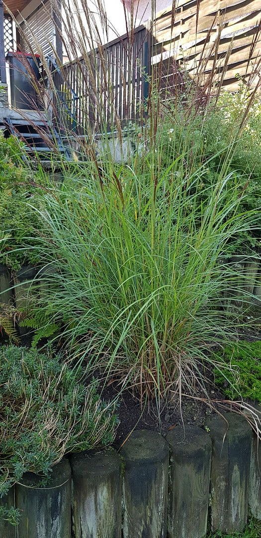 Predaj domu 210 m², pozemek 605 m², Weitraerstrasse 10, Gmünd, Dolné Rakúsko Predaj domu 210 m², pozemek 605 m², Weitraerstrasse 10, Gmünd, Dolné Rakúsko