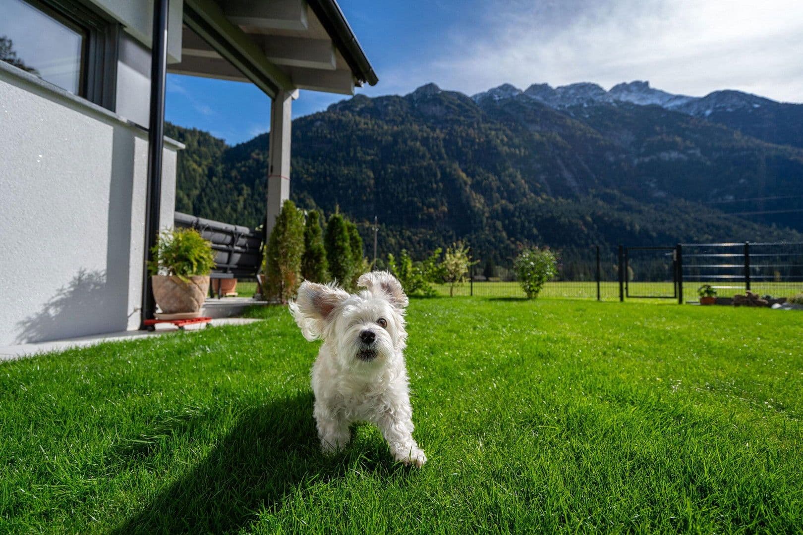 Predaj domu 156 m², pozemek 692 m², Leutasch, Tirolsko Predaj domu 156 m², pozemek 692 m², Leutasch, Tirolsko