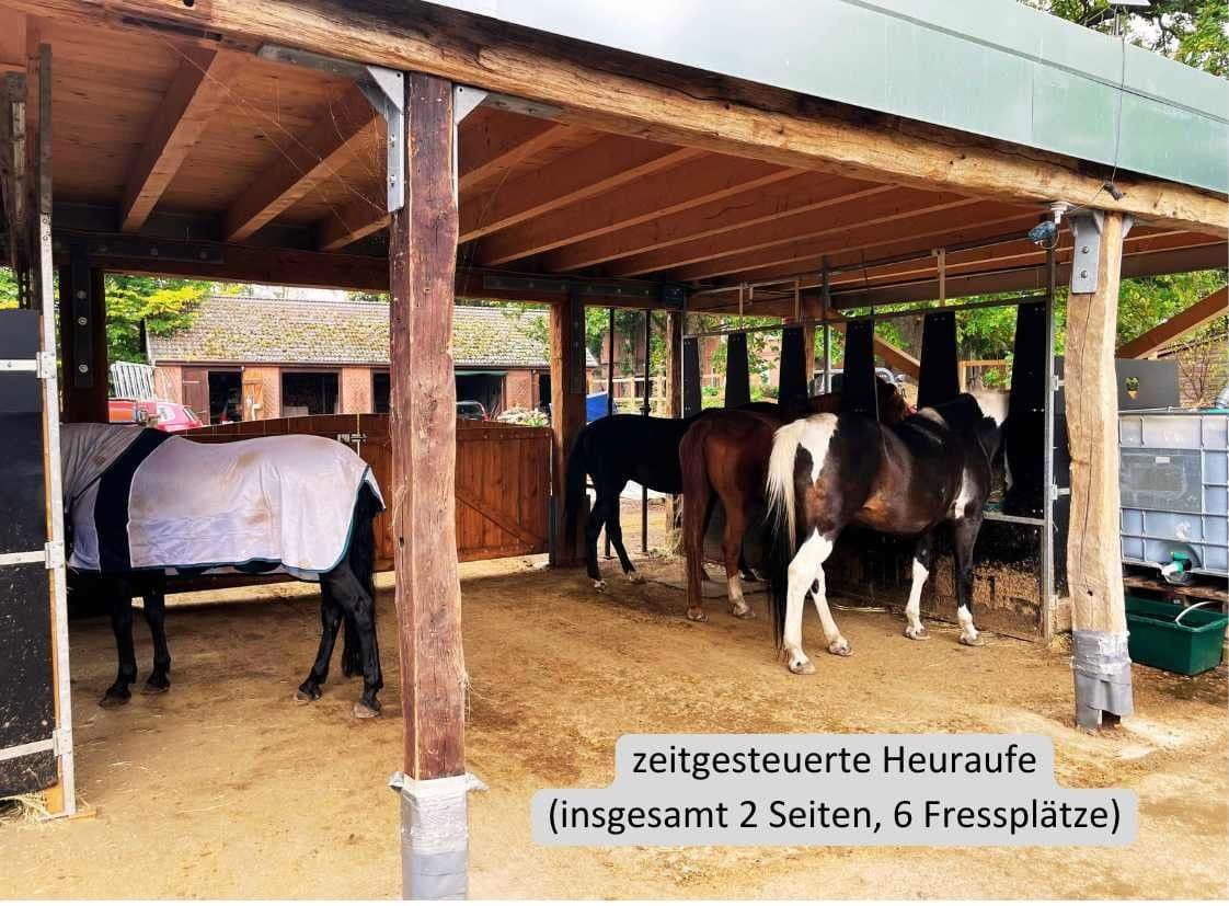 Predaj domu 800 m², pozemek 23.000 m², Hauptstraße 8, Borstel, Šlezvicko-Holštajnsko Predaj domu 800 m², pozemek 23.000 m², Hauptstraße 8, Borstel, Šlezvicko-Holštajnsko