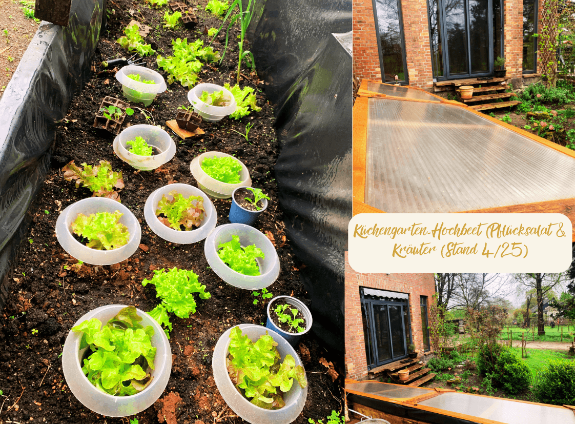 Predaj domu 800 m², pozemek 23.000 m², Hauptstraße 8, Borstel, Šlezvicko-Holštajnsko Predaj domu 800 m², pozemek 23.000 m², Hauptstraße 8, Borstel, Šlezvicko-Holštajnsko