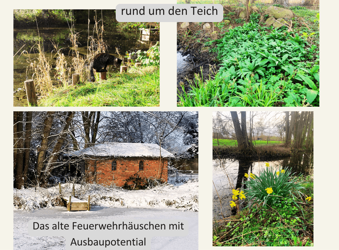 Predaj domu 800 m², pozemek 23.000 m², Hauptstraße 8, Borstel, Šlezvicko-Holštajnsko Predaj domu 800 m², pozemek 23.000 m², Hauptstraße 8, Borstel, Šlezvicko-Holštajnsko