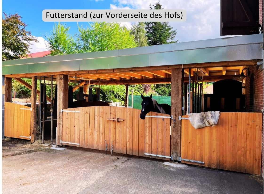 Predaj domu 800 m², pozemek 23.000 m², Hauptstraße 8, Borstel, Šlezvicko-Holštajnsko Predaj domu 800 m², pozemek 23.000 m², Hauptstraße 8, Borstel, Šlezvicko-Holštajnsko