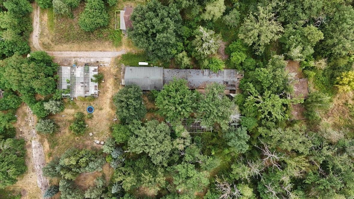 Predaj domu 120 m², pozemek 9.500 m², Königendorferstr. 85, Dessau-Rosslau, Sasko-Anhaltsko Predaj domu 120 m², pozemek 9.500 m², Königendorferstr. 85, Dessau-Rosslau, Sasko-Anhaltsko