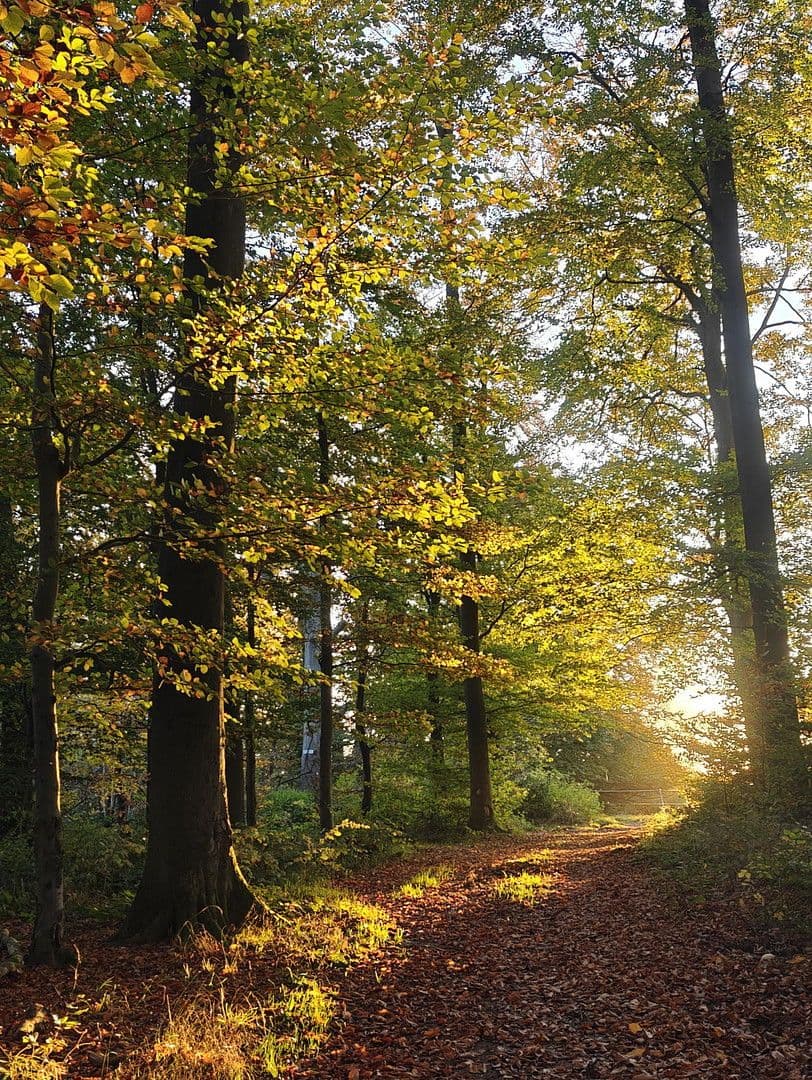 Predaj domu 493 m², pozemek 1.531 m², Glashütten, Hesensko Predaj domu 493 m², pozemek 1.531 m², Glashütten, Hesensko