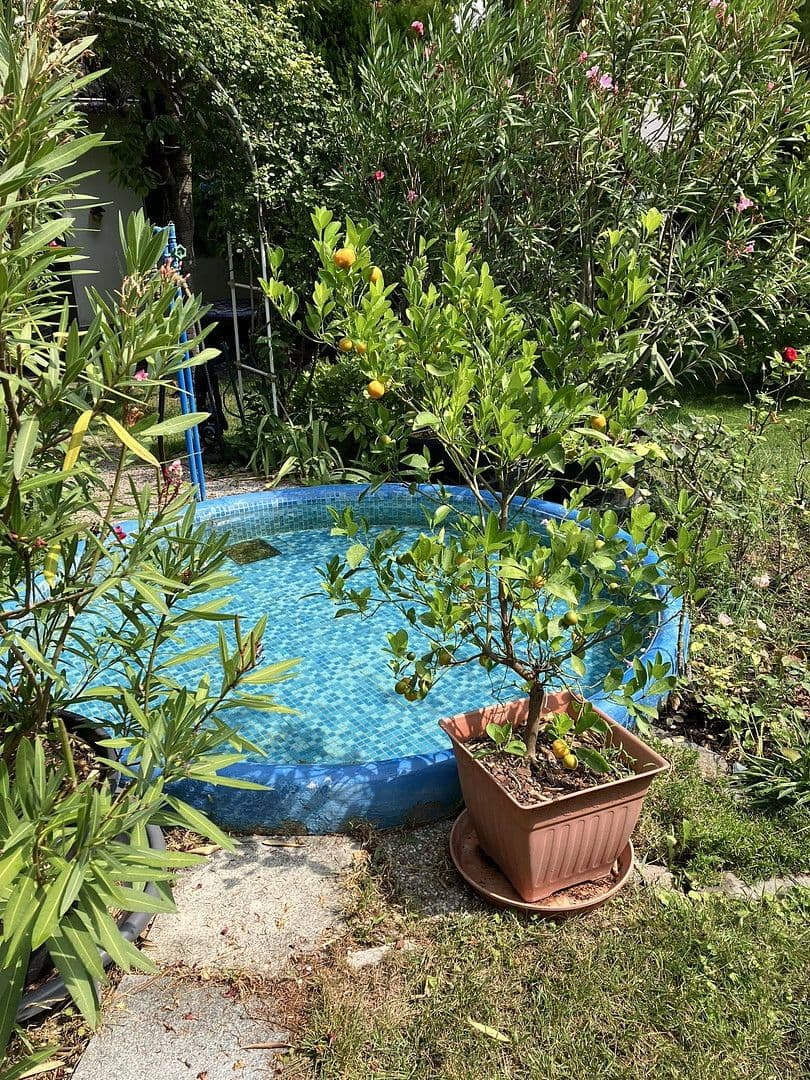 Predaj domu 100 m², pozemek 427 m², Gumpoldskirchen, Dolné Rakúsko Predaj domu 100 m², pozemek 427 m², Gumpoldskirchen, Dolné Rakúsko