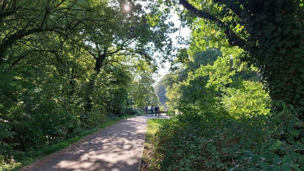 Prenájom bytu 2-izbový 40 m², Bürgerstraße 40, Hamburg, Hamburg Prenájom bytu 2-izbový 40 m², Bürgerstraße 40, Hamburg, Hamburg