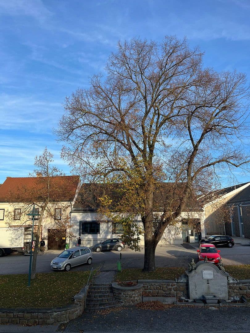 Prenájom bytu 6-izbový 163 m², Hauptplatz 20, Großweikersdorf, Dolné Rakúsko Prenájom bytu 6-izbový 163 m², Hauptplatz 20, Großweikersdorf, Dolné Rakúsko
