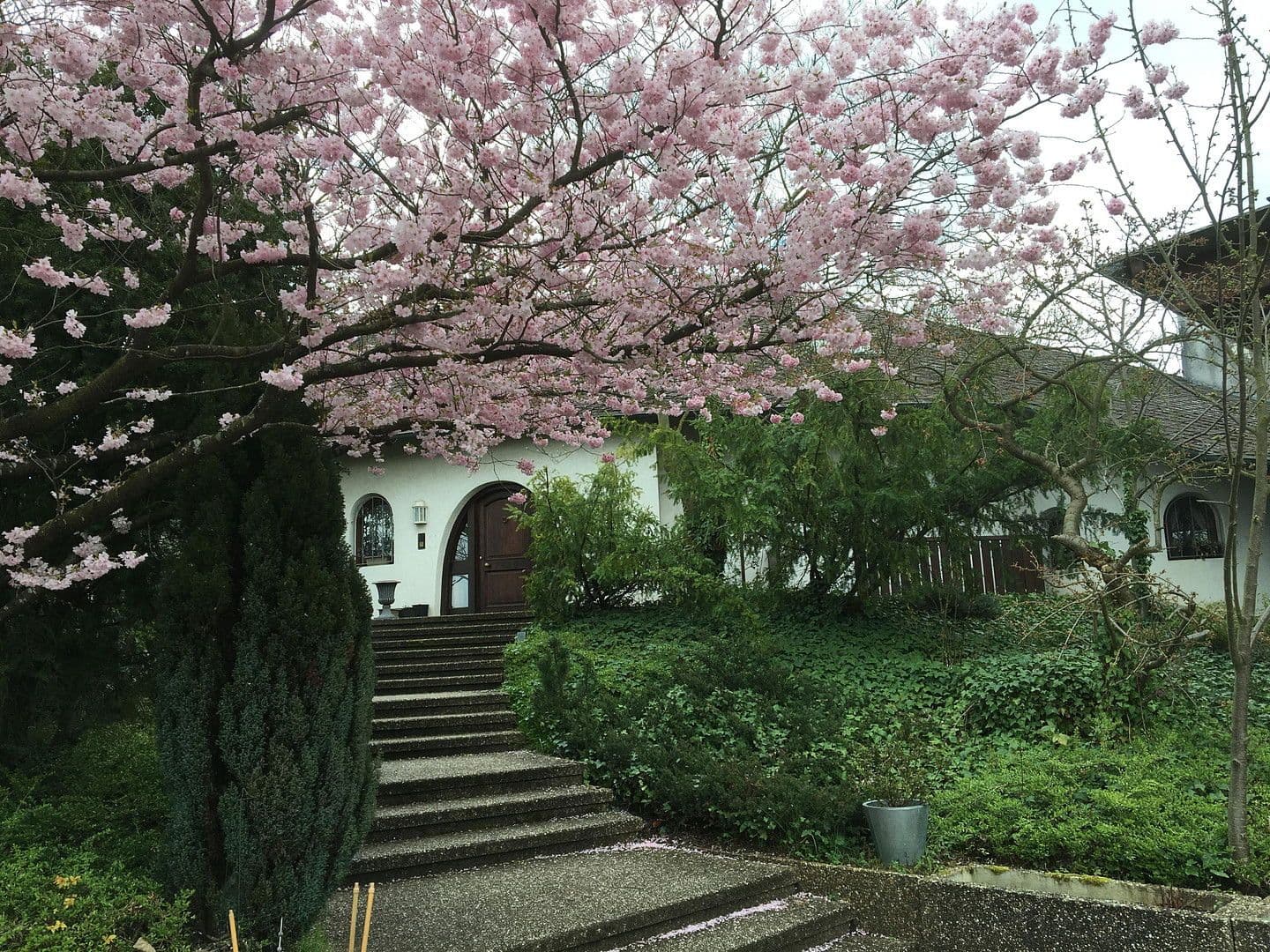 Predaj nebytového priestoru 3.682 m², Hagenbach, Porýnie-Falcko Predaj nebytového priestoru 3.682 m², Hagenbach, Porýnie-Falcko