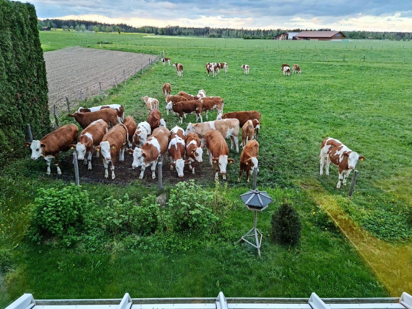 Predaj domu 258 m², pozemek 659 m², Halfing, Bavorsko Predaj domu 258 m², pozemek 659 m², Halfing, Bavorsko