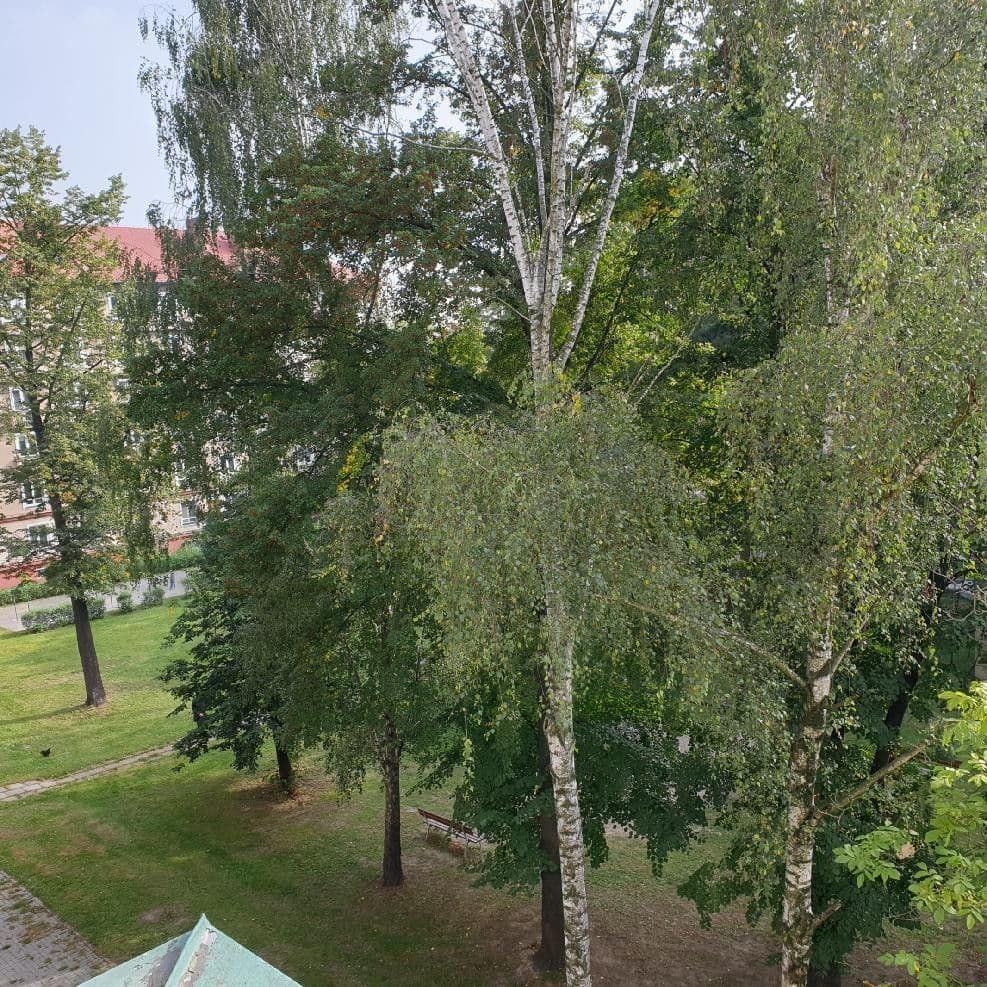 Prenájom bytu 2-izbový 65 m², Matěje Kopeckého, Ostrava, Moravskoslezský kraj Prenájom bytu 2-izbový 65 m², Matěje Kopeckého, Ostrava, Moravskoslezský kraj