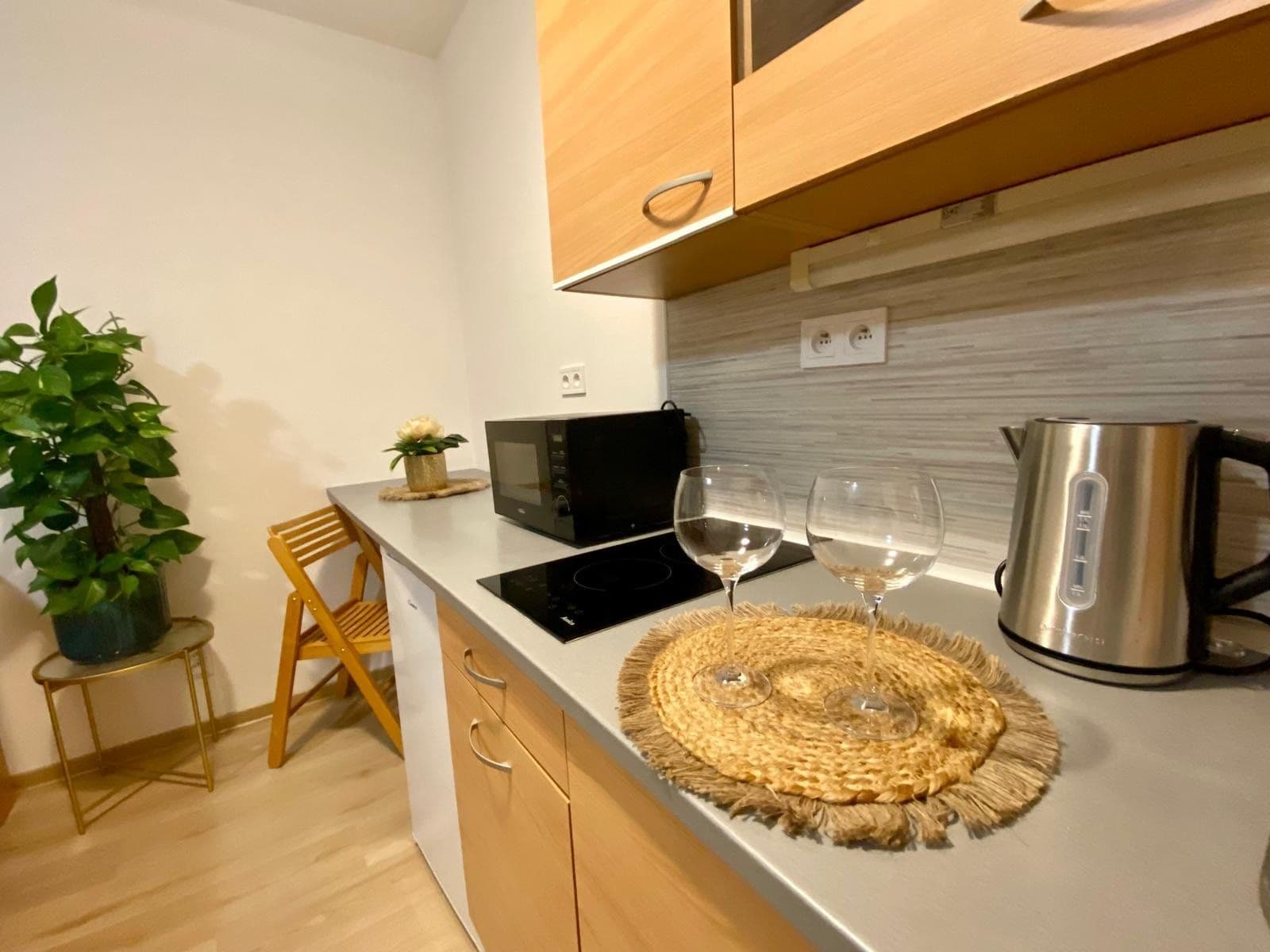 Prenájom bytu 30 m², Janského, Olomouc, Olomoucký kraj Prenájom bytu 30 m², Janského, Olomouc, Olomoucký kraj