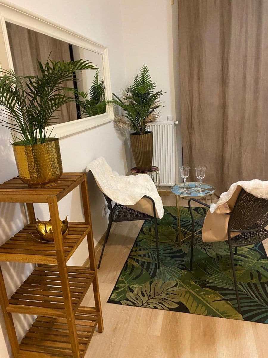 Prenájom bytu 30 m², Janského, Olomouc, Olomoucký kraj Prenájom bytu 30 m², Janského, Olomouc, Olomoucký kraj