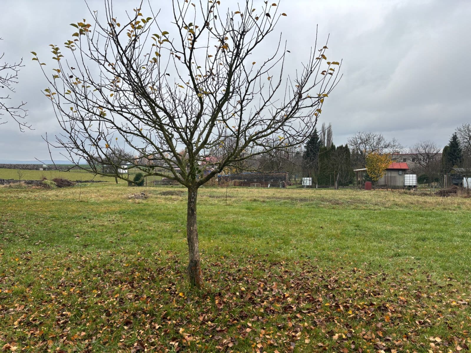 Predaj pozemku 1.012 m², Holešov, Zlínský kraj Predaj pozemku 1.012 m², Holešov, Zlínský kraj