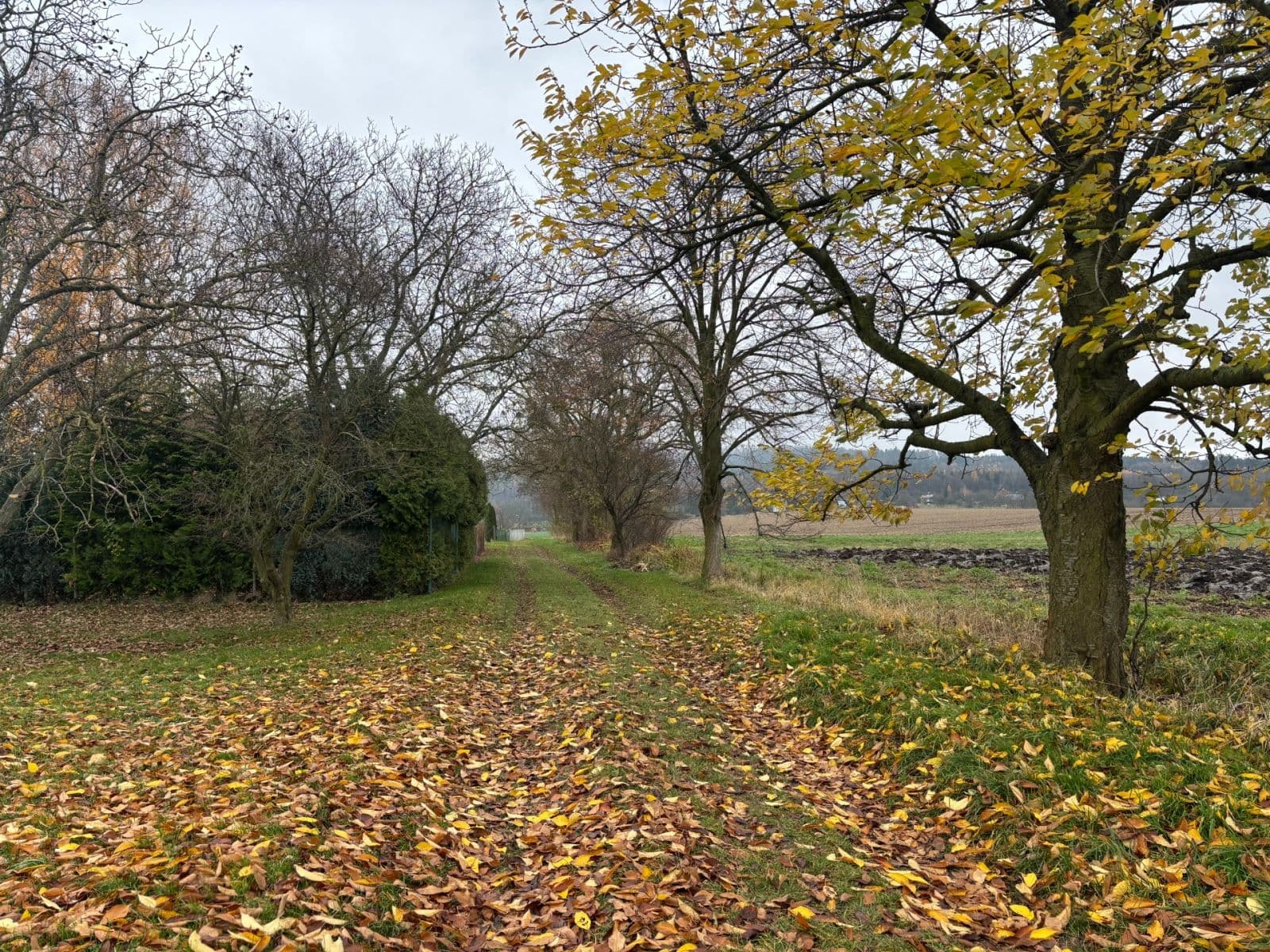 Predaj pozemku 1.012 m², Holešov, Zlínský kraj Predaj pozemku 1.012 m², Holešov, Zlínský kraj