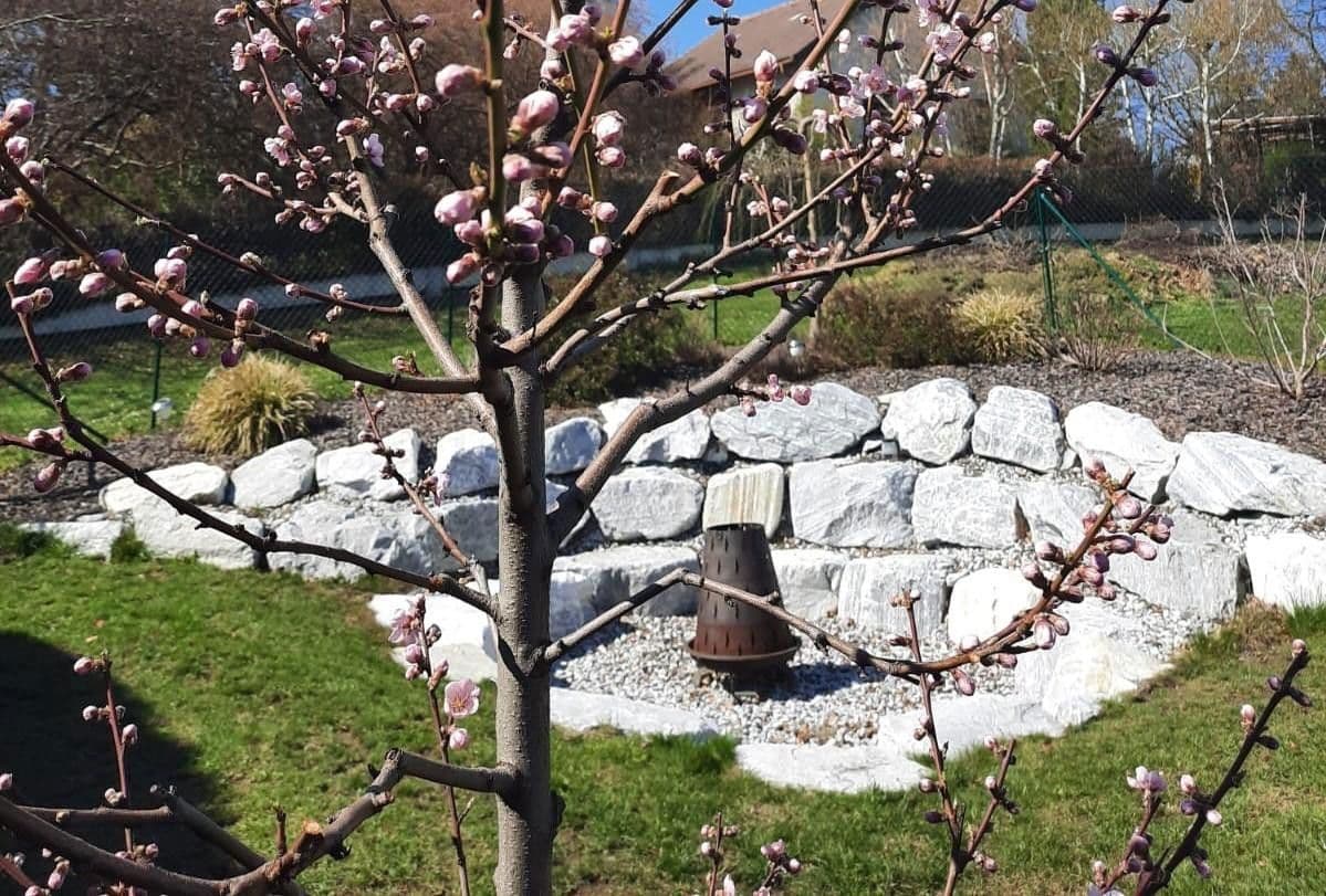 Prenájom domu 216 m², pozemek 600 m², Mittelberg 69, Mittelberg, Dolné Rakúsko Prenájom domu 216 m², pozemek 600 m², Mittelberg 69, Mittelberg, Dolné Rakúsko