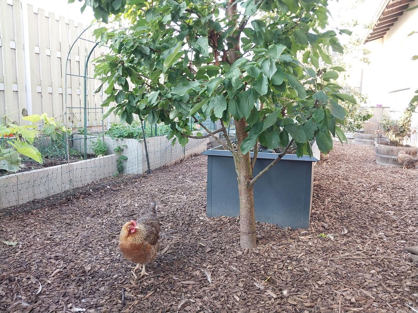 Predaj domu 120 m², pozemek 657 m², Hettenleidelheim, Porýnie-Falcko Predaj domu 120 m², pozemek 657 m², Hettenleidelheim, Porýnie-Falcko