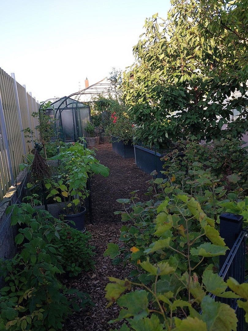 Predaj domu 120 m², pozemek 657 m², Hettenleidelheim, Porýnie-Falcko Predaj domu 120 m², pozemek 657 m², Hettenleidelheim, Porýnie-Falcko