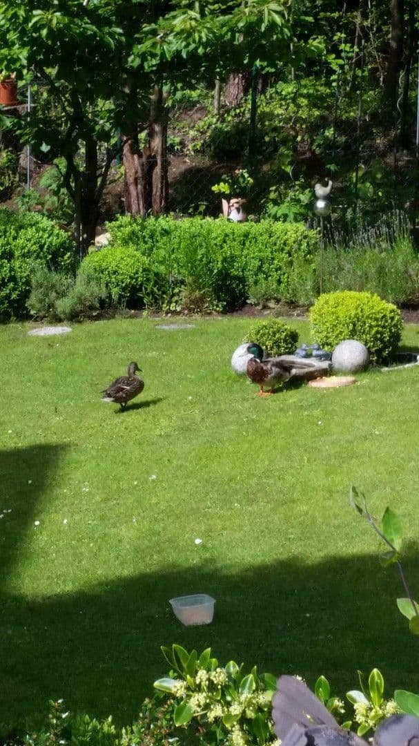 Prenájom domu 200 m², pozemek 1.100 m², Zirndorf, Bavorsko Prenájom domu 200 m², pozemek 1.100 m², Zirndorf, Bavorsko