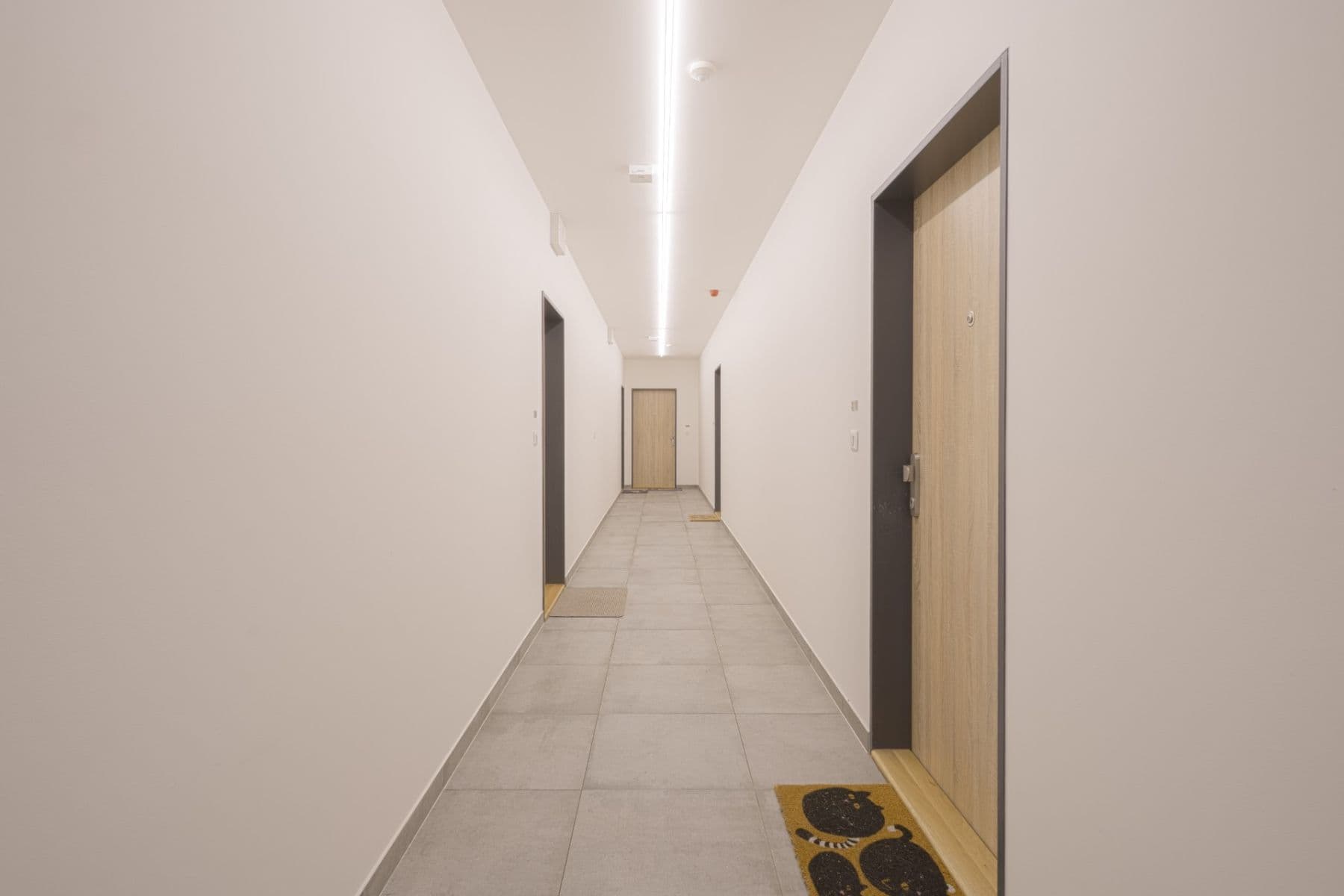 Prenájom bytu 2-izbový 50 m², Univerzitní, Praha, Praha Prenájom bytu 2-izbový 50 m², Univerzitní, Praha, Praha