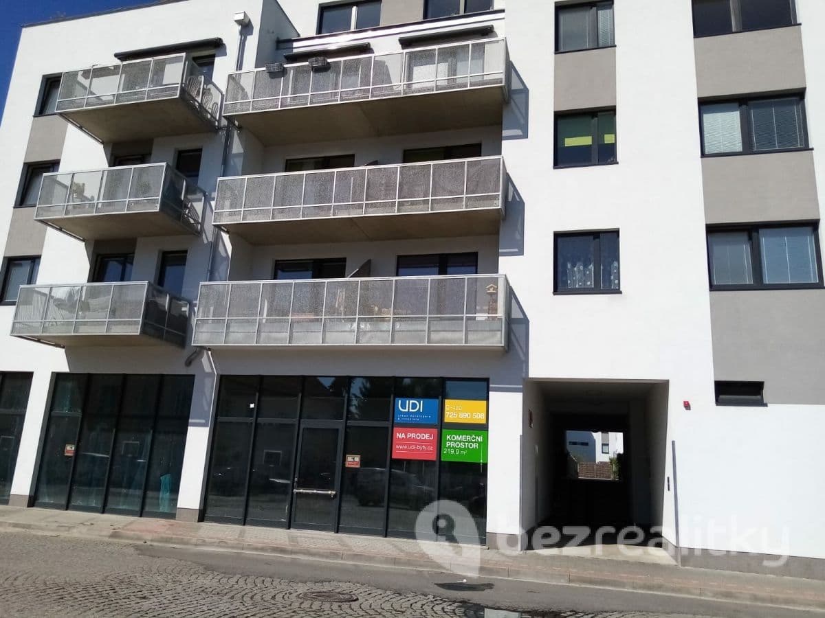 Prenájom bytu 1-izbový 27 m², náměstí Bratří Jandusů, Praha, Praha Prenájom bytu 1-izbový 27 m², náměstí Bratří Jandusů, Praha, Praha