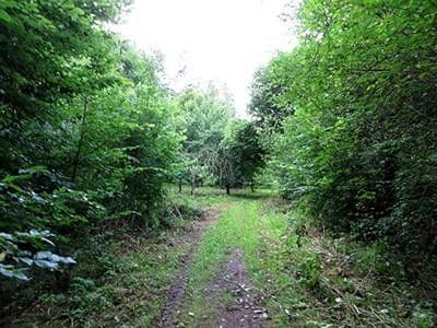 Predaj pozemku 8.326 m², Wiesengrund, Waldesch, Porýnie-Falcko Predaj pozemku 8.326 m², Wiesengrund, Waldesch, Porýnie-Falcko