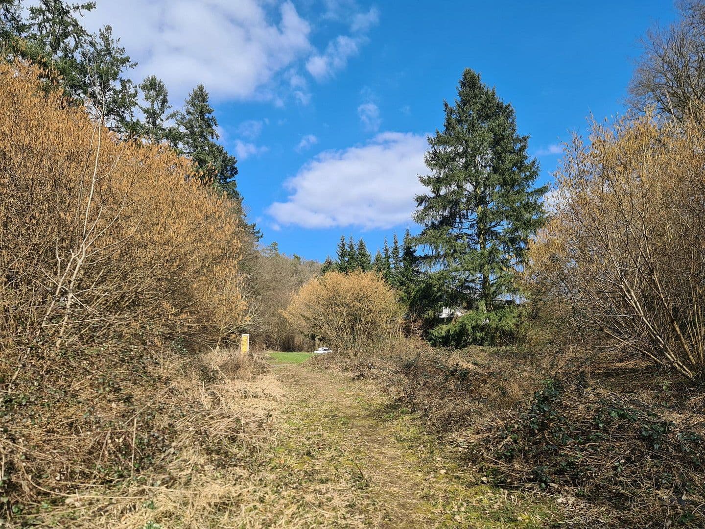 Predaj pozemku 8.326 m², Wiesengrund, Waldesch, Porýnie-Falcko Predaj pozemku 8.326 m², Wiesengrund, Waldesch, Porýnie-Falcko