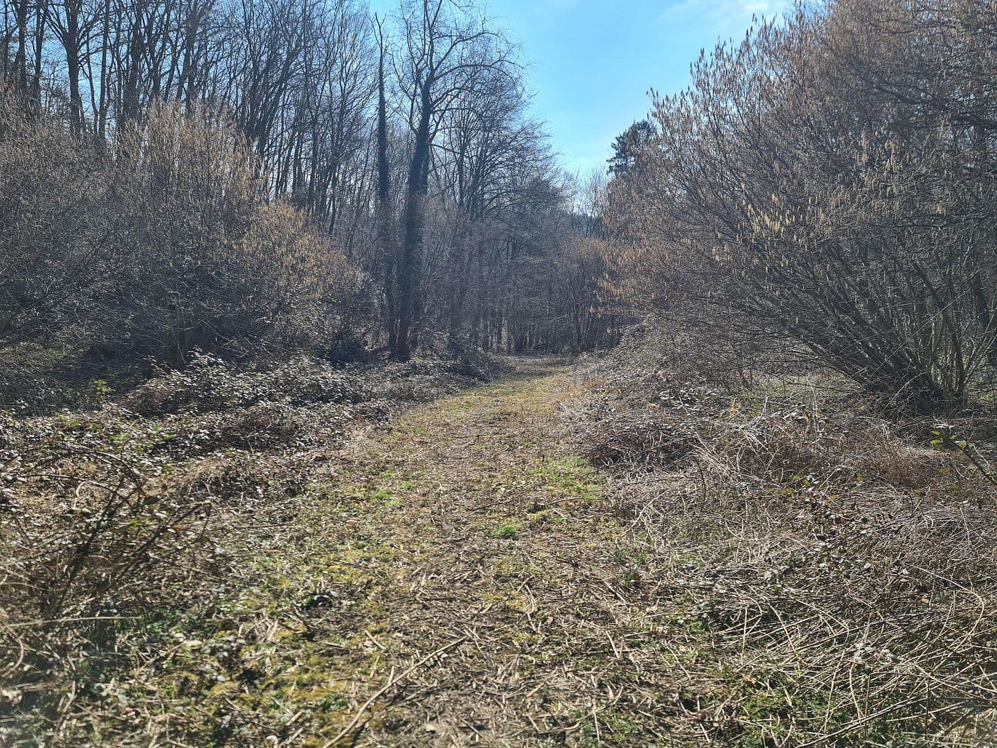 Predaj pozemku 8.326 m², Wiesengrund, Waldesch, Porýnie-Falcko Predaj pozemku 8.326 m², Wiesengrund, Waldesch, Porýnie-Falcko