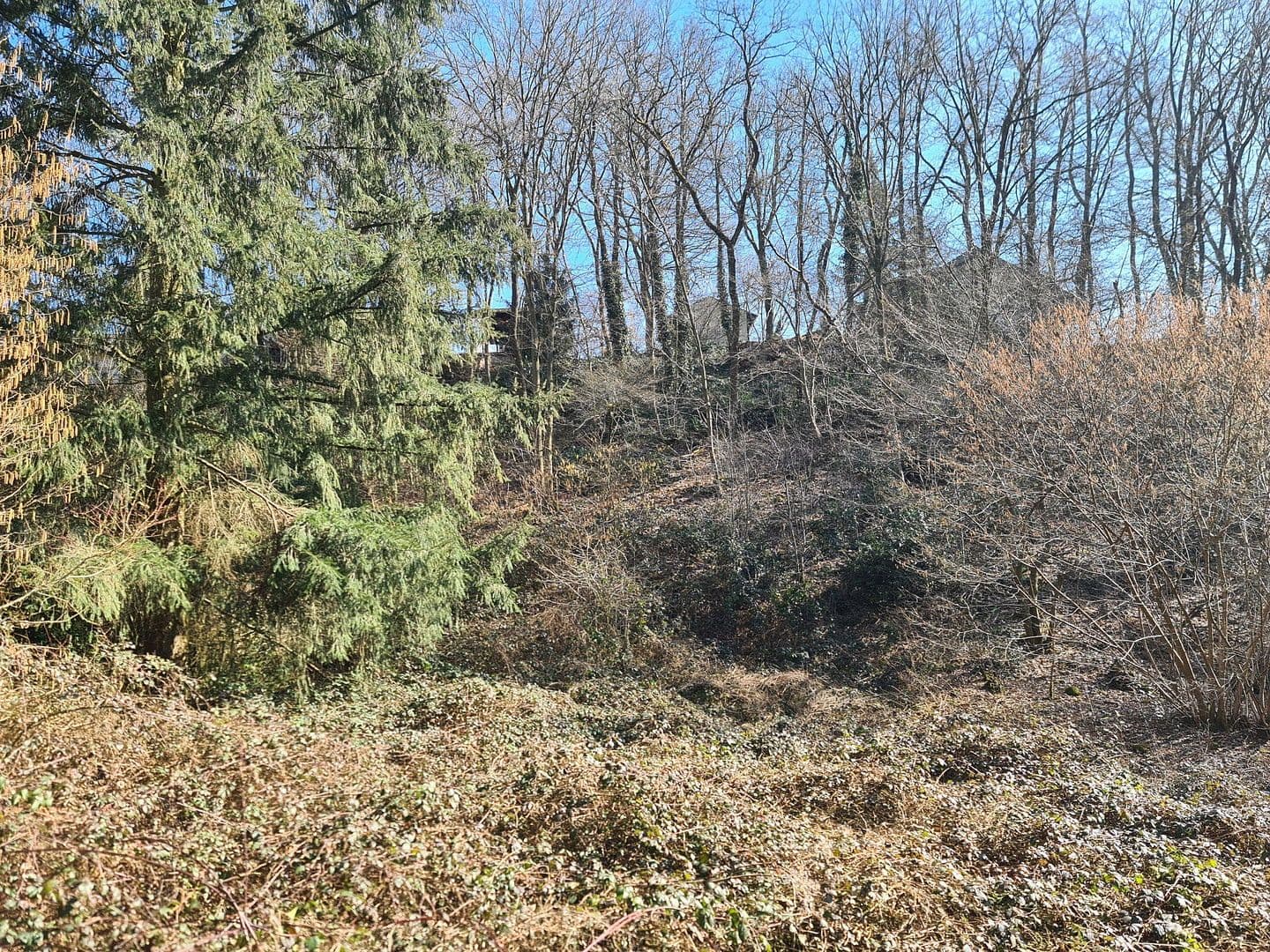 Predaj pozemku 8.326 m², Wiesengrund, Waldesch, Porýnie-Falcko Predaj pozemku 8.326 m², Wiesengrund, Waldesch, Porýnie-Falcko