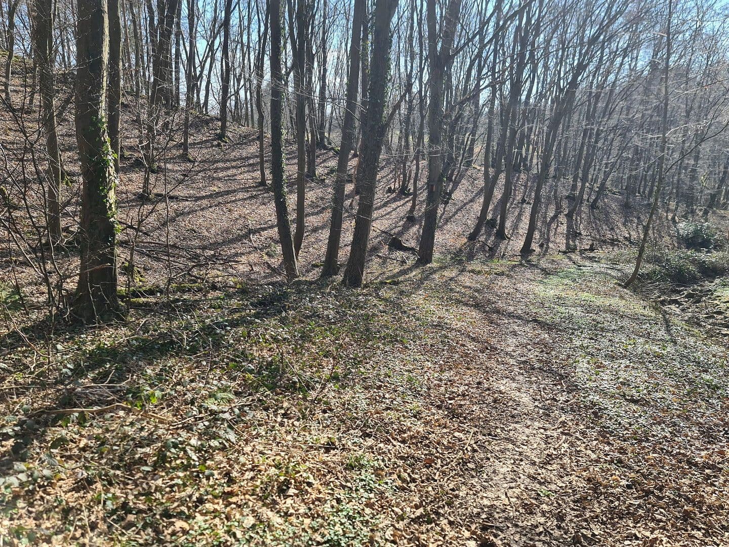 Predaj pozemku 8.326 m², Wiesengrund, Waldesch, Porýnie-Falcko Predaj pozemku 8.326 m², Wiesengrund, Waldesch, Porýnie-Falcko