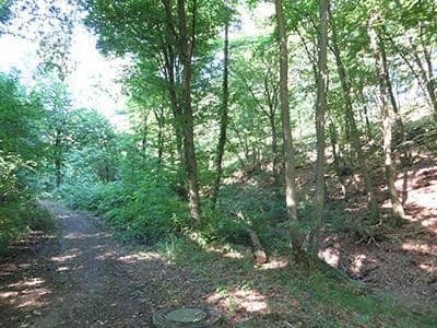 Predaj pozemku 8.326 m², Wiesengrund, Waldesch, Porýnie-Falcko Predaj pozemku 8.326 m², Wiesengrund, Waldesch, Porýnie-Falcko