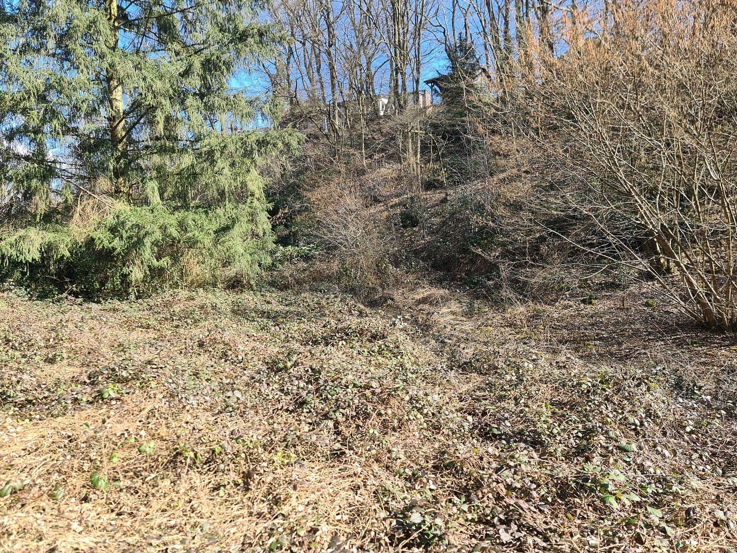 Predaj pozemku 8.326 m², Wiesengrund, Waldesch, Porýnie-Falcko Predaj pozemku 8.326 m², Wiesengrund, Waldesch, Porýnie-Falcko