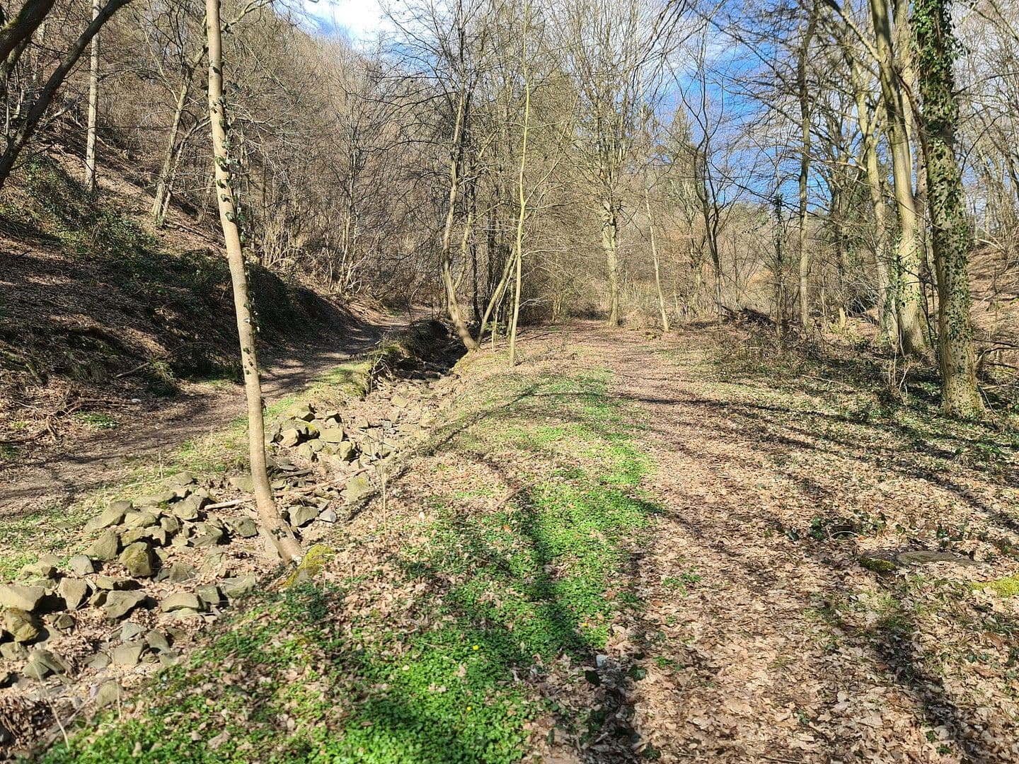 Predaj pozemku 8.326 m², Wiesengrund, Waldesch, Porýnie-Falcko Predaj pozemku 8.326 m², Wiesengrund, Waldesch, Porýnie-Falcko