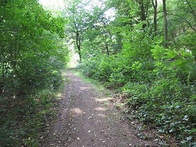 Predaj pozemku 8.326 m², Wiesengrund, Waldesch, Porýnie-Falcko Predaj pozemku 8.326 m², Wiesengrund, Waldesch, Porýnie-Falcko