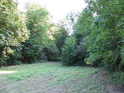 Predaj pozemku 8.326 m², Wiesengrund, Waldesch, Porýnie-Falcko Predaj pozemku 8.326 m², Wiesengrund, Waldesch, Porýnie-Falcko