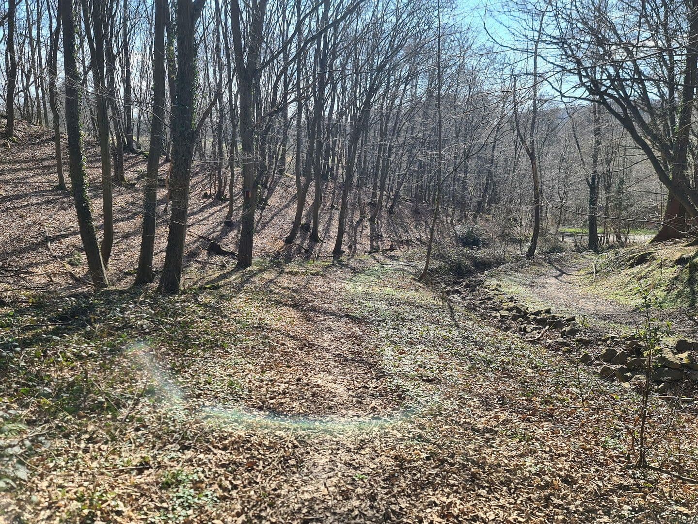 Predaj pozemku 8.326 m², Wiesengrund, Waldesch, Porýnie-Falcko Predaj pozemku 8.326 m², Wiesengrund, Waldesch, Porýnie-Falcko